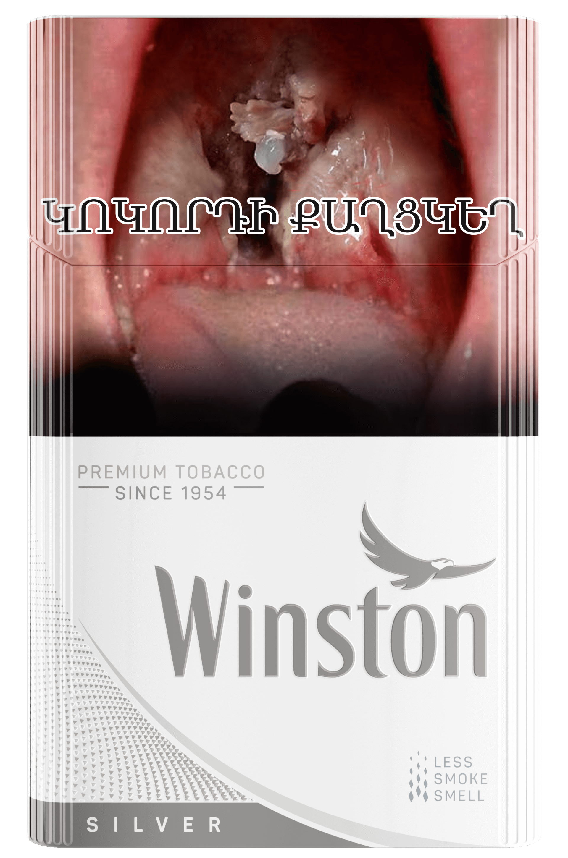 WINSTON Silver KING SIZE