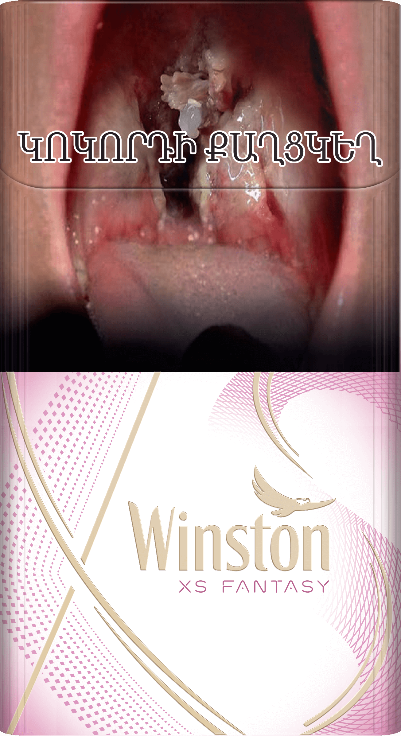 Winston XS fantasy