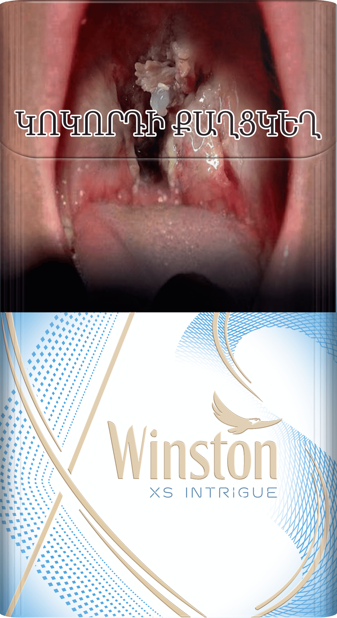 Winston XS INTRIGUE