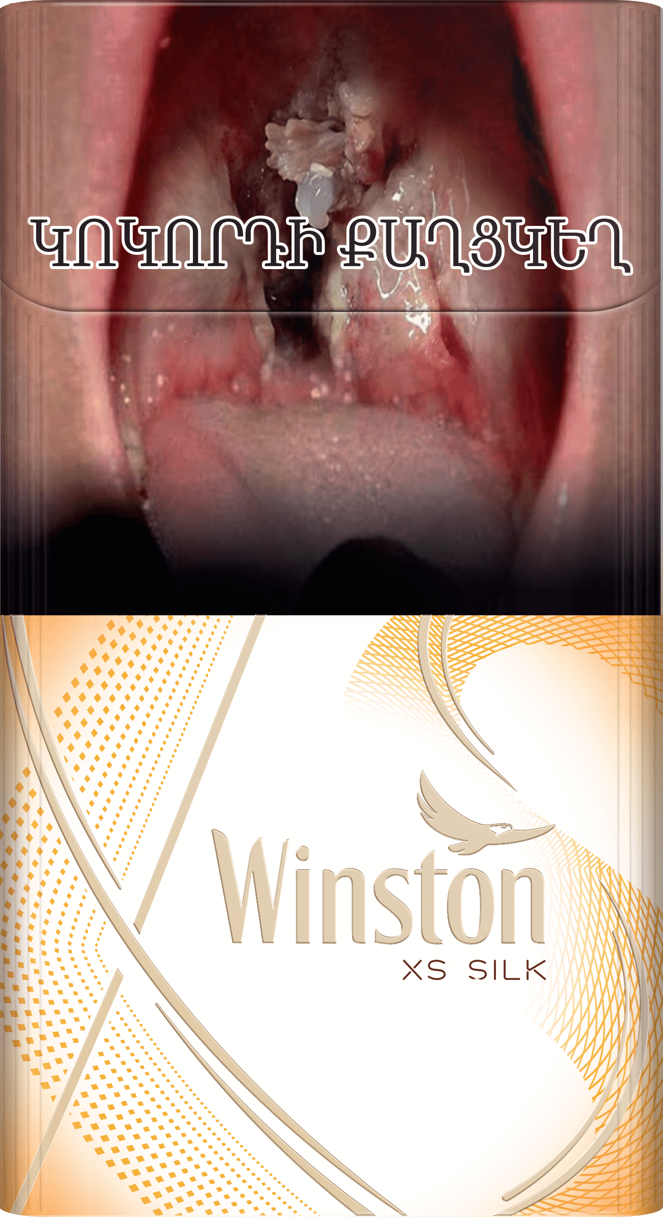 Winston XS Silk