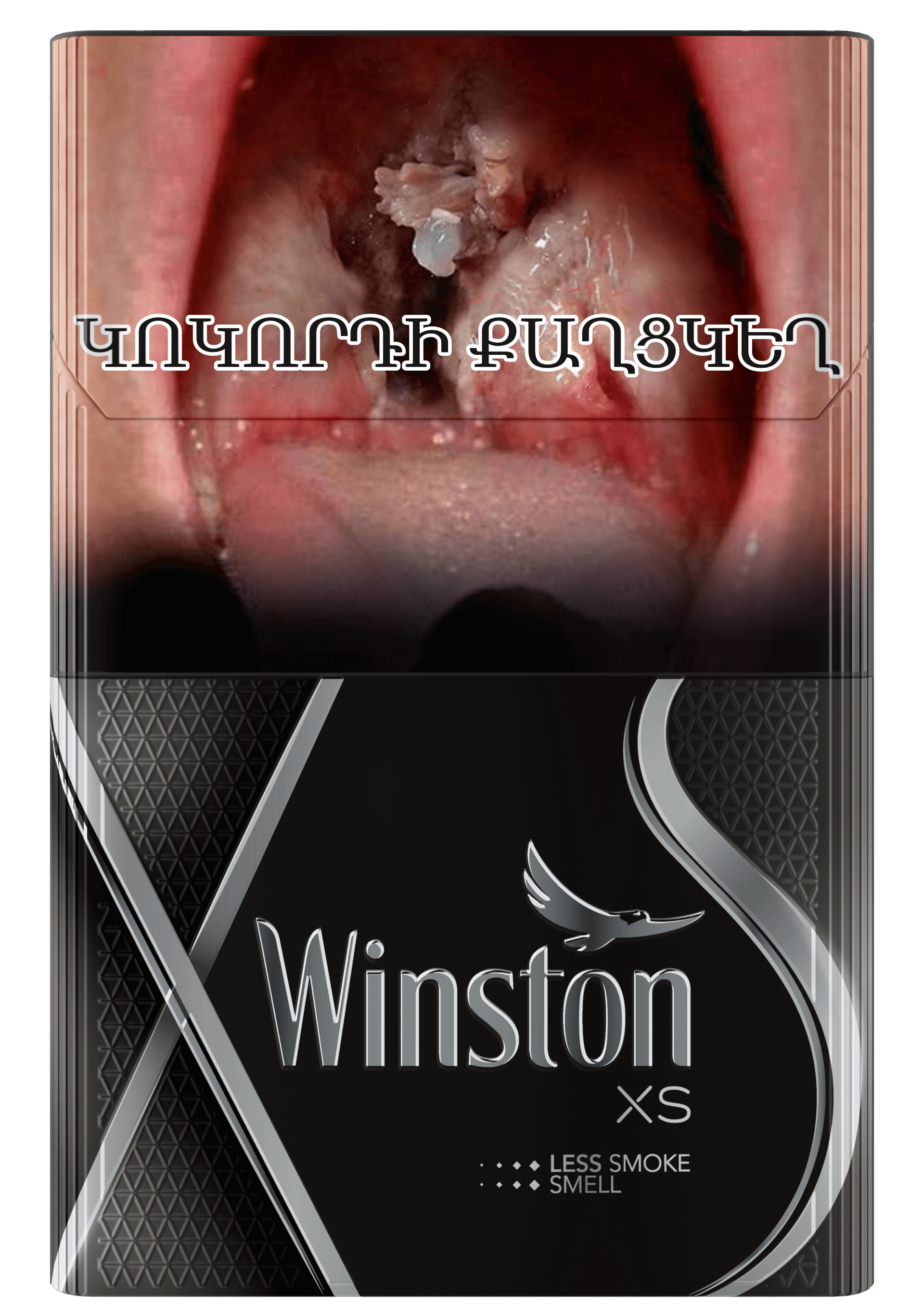 Winston XS Silver