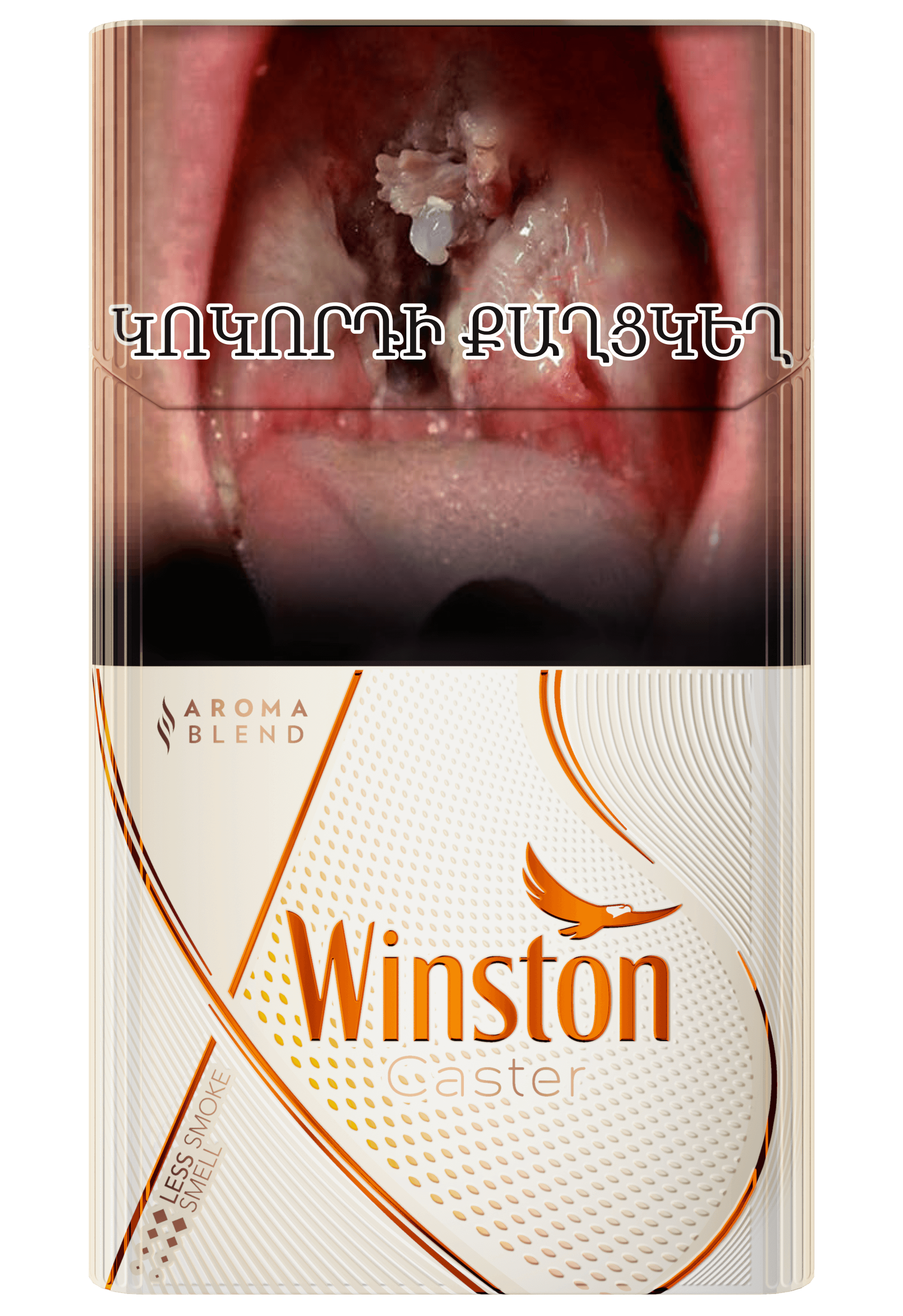 Winston Xstyle Caster